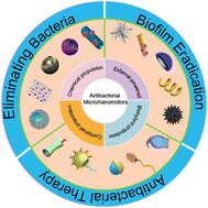 Graphical abstract: Recent advances in micro/nanomotors for antibacterial applications