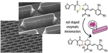 Graphical abstract: Enzyme-loaded rod-like microgel shapes: a step towards the creation of shape-specific microreactors for blood detoxification purposes