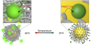 Graphical abstract: Temperature-sensitive metal-enhanced fluorescence and plasmon resonance energy transfer