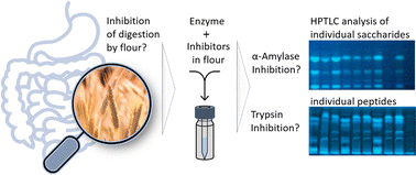 Graphical abstract: Screening of α-amylase/trypsin inhibitor activity in wheat, spelt and einkorn by high-performance thin-layer chromatography