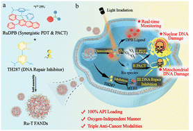 Graphical abstract: Photoactivated full-API nanodrug (FAND): harnessing transition metal complexes and MTH1 inhibitor for enhanced DNA damage in cancer cells