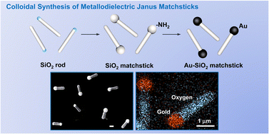 Graphical abstract: Colloidal synthesis of metallodielectric Janus matchsticks