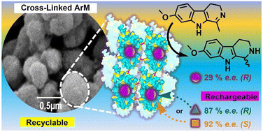 Graphical abstract: Redox-reversible siderophore-based catalyst anchoring within cross-linked artificial metalloenzyme aggregates enables enantioselectivity switching