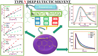Graphical abstract: Solute dynamics of a hydrophobic molecule in a menthol–thymol based type-V deep eutectic solvent: effect of composition of the components