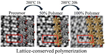 Graphical abstract: On-surface polymerization reactions of dibrominated hexaphenylbenzene influenced by densely packed self-assembly