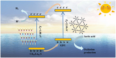 Graphical abstract: Cd0.9La0.1S/graphdiyne type-II heterojunction structure for efficient photocatalytic hydrogen production