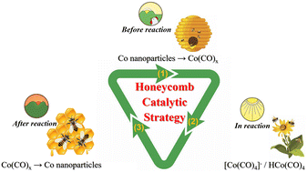 Graphical abstract: “Honeycomb catalytic strategy” for carbonylation reaction based on the structural evolution of cobalt species