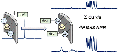 Graphical abstract: Cu(dppf) complexes can be synthesized from Cu-exchanged solids and enable a quantification of the Cu-accessibility by 31P MAS NMR spectroscopy