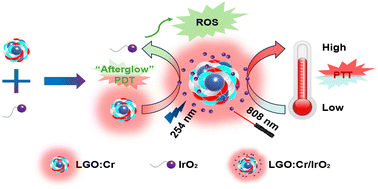 Graphical abstract: A multi-functional nano-platform based on LiGa4.99O8:Cr0.01/IrO2 with near infrared-persistent luminescence, “afterglow” photodynamic and photo-thermal functions