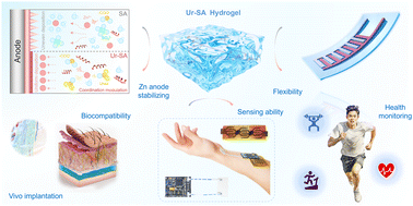 Graphical abstract: Biocompatible and stable quasi-solid-state zinc-ion batteries for real-time responsive wireless wearable electronics