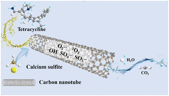 Graphical abstract: Carbon nanotubes as a nanocatalyst and nanoreactor for the efficient treatment of pharmaceutical wastewater via CaSO3 activation