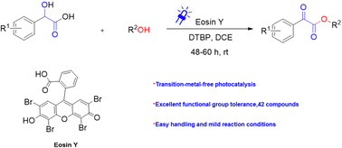 Graphical abstract: Visible light-induced oxidative esterification of mandelic acid with alcohols: a new synthesis of α-ketoesters