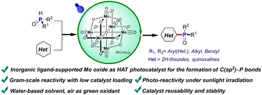 Graphical abstract: Inorganic ligand-supported Mo oxide as a hydrogen atom transfer photocatalyst for direct C(sp2)–H phosphorylation
