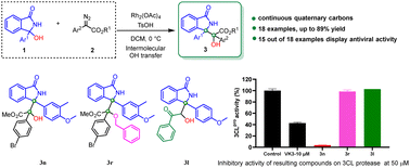 Graphical abstract: Efficient synthesis of bioactive isoindolinone derivatives containing continuous quaternary carbons by intermolecular OH transfer