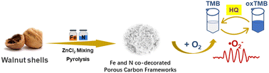 Graphical abstract: Design of Fe and N co-decorated biomass-derived hierarchical porous carbon frameworks with boosted oxidase-like activity for hydroquinone detection