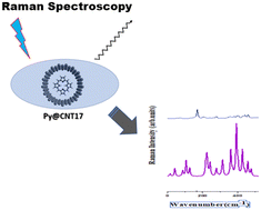 Graphical abstract: van der Waals interactions on semiconducting single-walled carbon nanotubes filled with porphyrin molecules: structure optimisation and Raman analysis