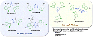 Graphical abstract: Advances in the total synthesis of bis- and tris-indole alkaloids containing N-heterocyclic linker moieties