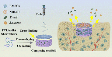 Graphical abstract: A chitosan-coated PCL/nano-hydroxyapatite aerogel integrated with a nanofiber membrane for providing antibacterial activity and guiding bone regeneration