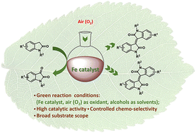 Graphical abstract: Iron-catalyzed selective construction of indole derivatives via oxidative C(sp3)–H functionalization of indolin-2-ones