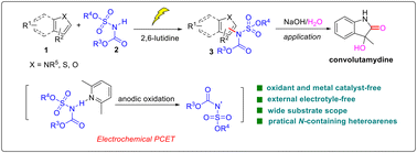 Graphical abstract: Electro-oxidative intermolecular CSP2–H amination of heteroarenes via proton-coupled electron transfer