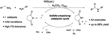 Graphical abstract: Iodide-umpolung catalytic system for non-traditional amide coupling from nitroalkanes and amines