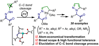 Graphical abstract: Palladium-catalyzed C–C bond cleavage of N-cyclopropyl acylhydrazones