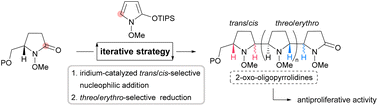 Graphical abstract: Stereodivergent synthesis of 2-oxo-oligopyrrolidines by an iterative coupling strategy