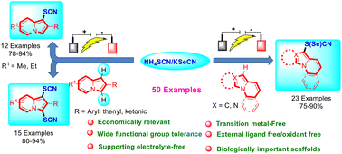 Graphical abstract: Electrochemical selective divergent C–H chalcogenocyanation of N-heterocyclic scaffolds