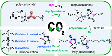 Graphical abstract: Design of functional isocyanate-free poly(oxazolidone)s under mild conditions