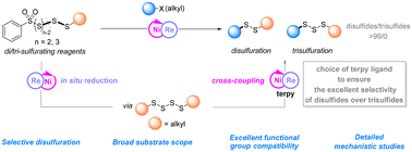 Graphical abstract: Selective nickel-catalyzed disulfuration of alkyl halides with di/trithiosulfonates