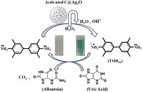 Graphical abstract: Uric acid quantification via colorimetric detection utilizing silver oxide-modified activated carbon nanoparticles functionalized with ionic liquid