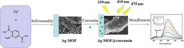 Graphical abstract: Determination of moxifloxacin in milk using a ratiometric fluorescent sensor based on Ag-MOF@curcumin