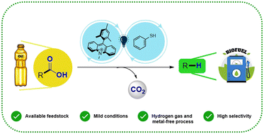 Graphical abstract: Photocatalyzed hydrodecarboxylation of fatty acids: a prospective method to produce drop-in biofuels