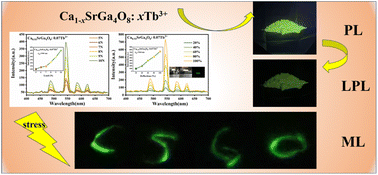 Graphical abstract: Luminescence properties of a green-emitting mechanoluminescent phosphor CaSrGa4O8:xTb3+ without pre-excitation