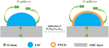 Graphical abstract: Pr2Ni0.8Co0.2O4+δ impregnated La0.6Sr0.4CoO3−δ oxygen electrode for efficient CO2 electroreduction in solid oxide electrolysis cells