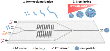 Graphical abstract: One-step flow synthesis of size-controlled polymer nanogels in a fluorocarbon microfluidic chip