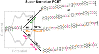 Graphical abstract: Observation of super-Nernstian proton-coupled electron transfer and elucidation of nature of charge carriers in a multiredox conjugated polymer