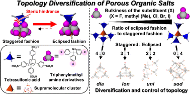 Graphical abstract: Network topology diversification of porous organic salts