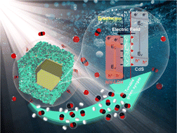 Graphical abstract: Modulating the PCET process via optimizing the local microenvironment of a CdS@NiV-LDH heterojunction for CO2 reduction in tunable green syngas photosynthesis