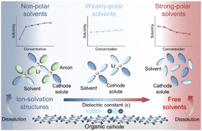 Graphical abstract: Revealing the dissolution mechanism of organic carbonyl electrodes in lithium–organic batteries