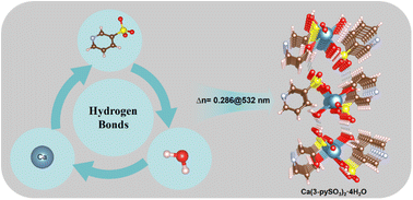 Graphical abstract: Hydrogen bonding regulation-oriented design of pyridine sulfonate as a promising UV birefringent crystal characterized by enhanced structural anisotropy
