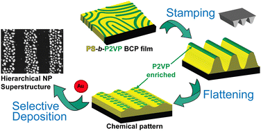 Graphical abstract: Nanoparticle assembly by transient topography induced by applying soft lithography to block copolymer films
