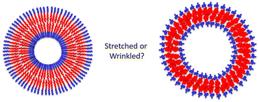 Graphical abstract: Stretched or wrinkled? Looking into the polymer conformation within polymersome membranes