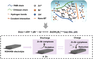 Graphical abstract: Enhanced zinc reversibility enabled by zinc–bromide complexation of a quasi-solid electrolyte for high-performance flexible zinc–air batteries