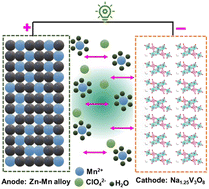 Graphical abstract: Decoding the manganese-ion storage properties of Na1.25V3O8 nano-rods