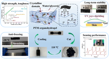 Graphical abstract: High-strength, ultra-tough and recyclable MXene-composited organohydrogels with integrated multiple functions for wearable sensors