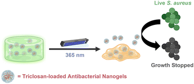 Graphical abstract: Light-degradable nanocomposite hydrogels for antibacterial wound dressing applications