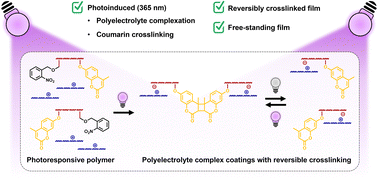Graphical abstract: Photoinduced polyelectrolyte complexation for the formation of stable films with reversible crosslinking