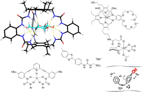 Graphical abstract: Making molecules work – stories of supramolecular translation