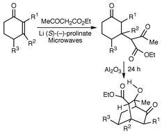 Construction of bicyclo[2.2.2]octanone systems by microwave-assisted solid phase Michael addition followed by AlO-mediated intramolecular aldolisation. An eco-friendly approach